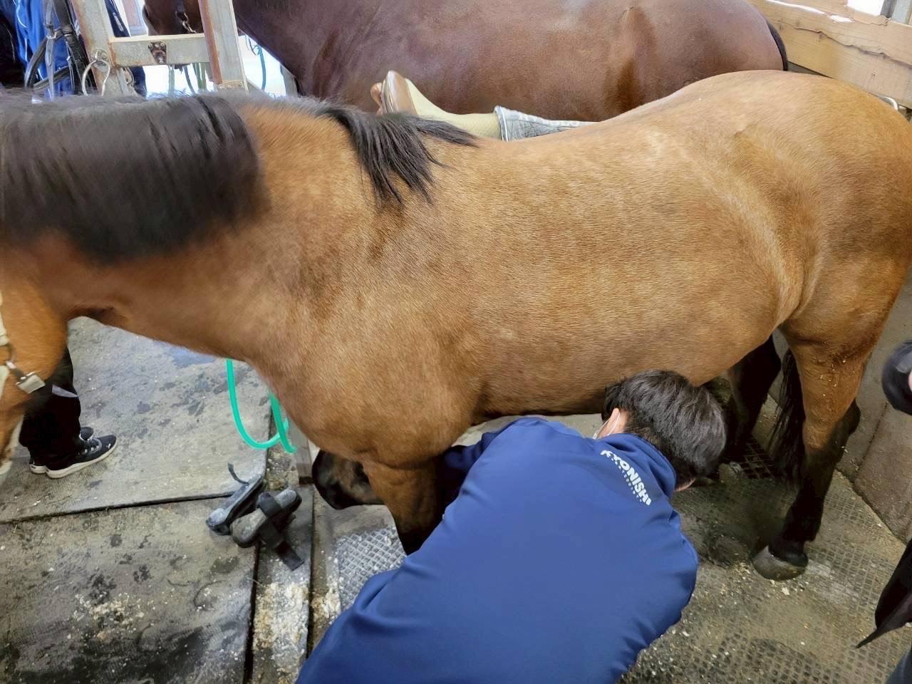 2025.11 体育コース実習５.jpeg